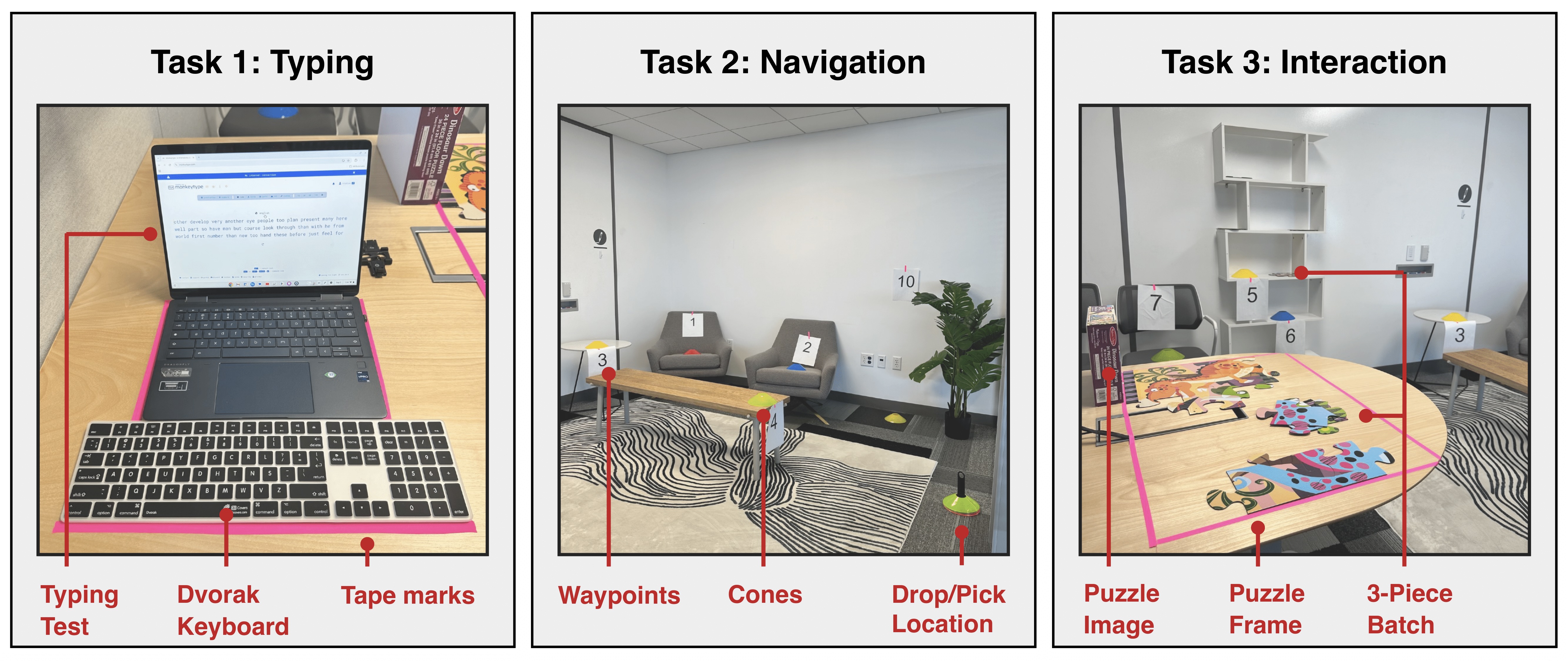 User Study Setup